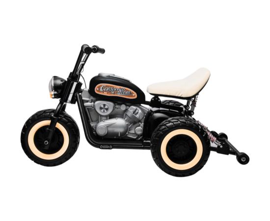 Leantoys Battery-powered Tricycle LL6688 Black 24V