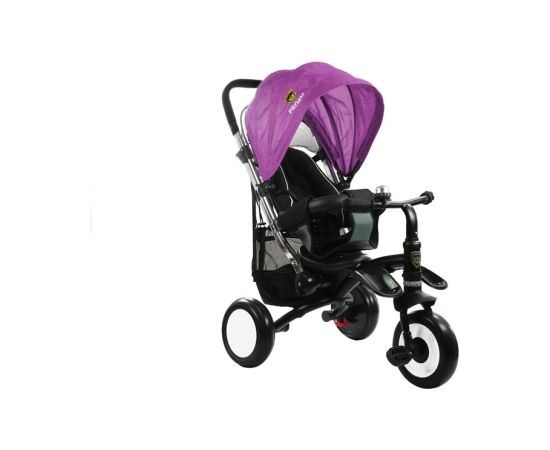 Leantoys Tricycle Bike PRO400  - Violet