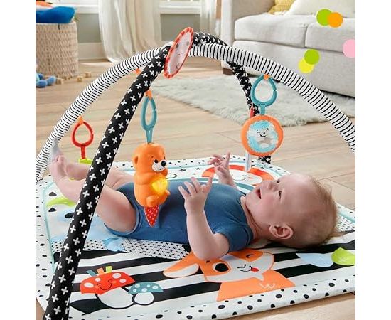 Fisher-Price Animal Lovers Contrast Play Mat Play Arch/Blanket