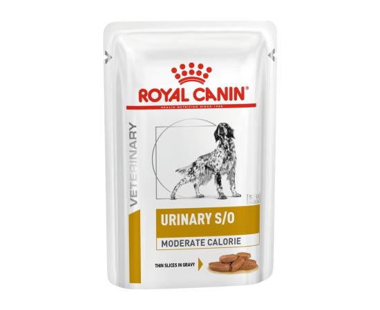 ROYAL CANIN Urinary S/O Moderate Calorie Wet dog food Chunks in sauce 12x100 g