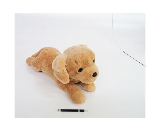 Madej Pies Labrador 60cm leżący 010745 73029