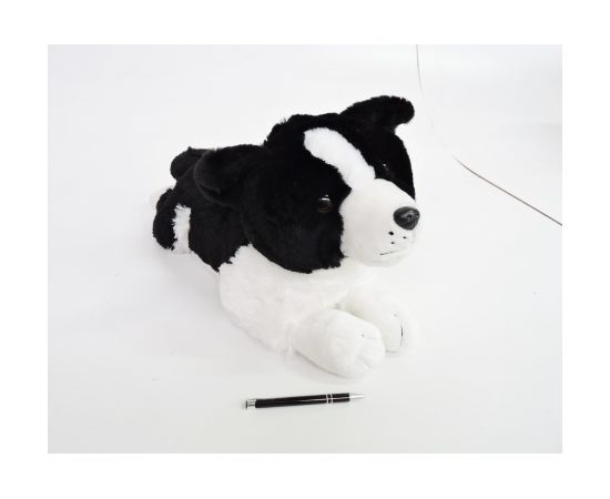 Madej Pies Border Collie 60cm leżący 010748 73050