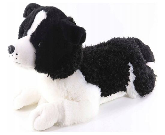 Madej Pies Border Collie 60cm leżący 010748 73050