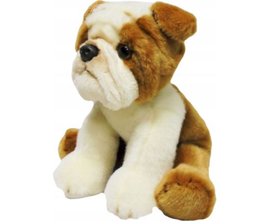 Smily Play Pies bull dog 30cm SmilyPlay 47739