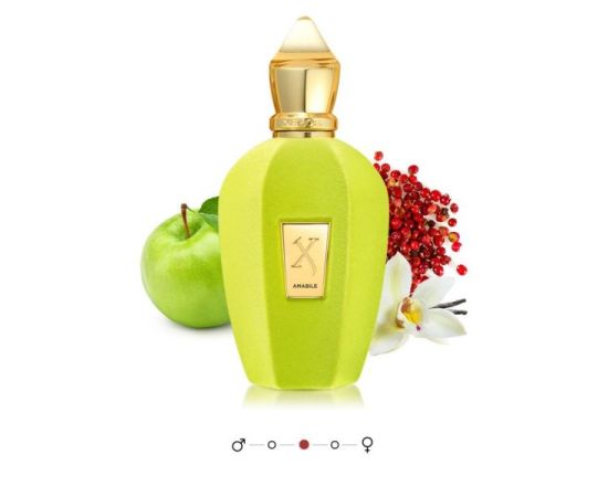 Xerjoff EDP V Amabile (50 ml)