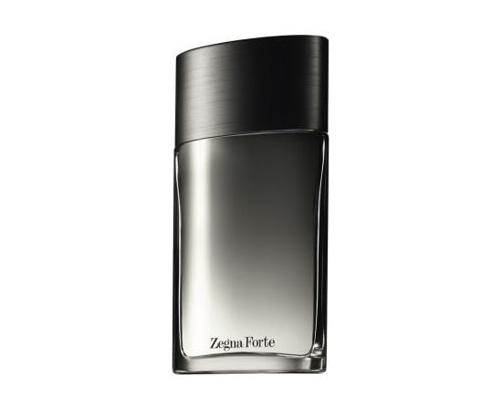 Ermenegildo Zegna Forte EDT 100 ml