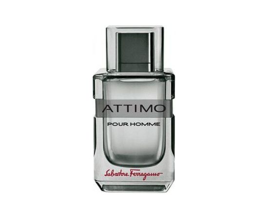 Salvatore Ferragamo Attimo Pour Homme EDT 100 ml