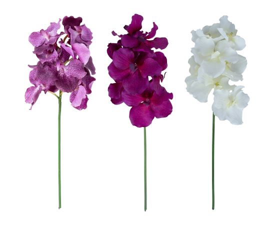 Orchid FLOWERLY H60cm, mix