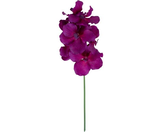 Orchid FLOWERLY H60cm, mix