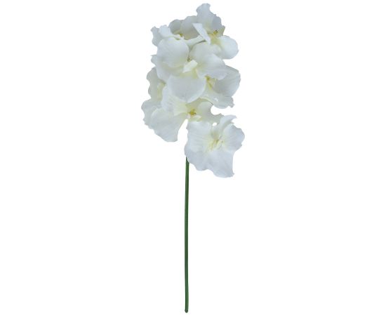 Orchid FLOWERLY H60cm, mix