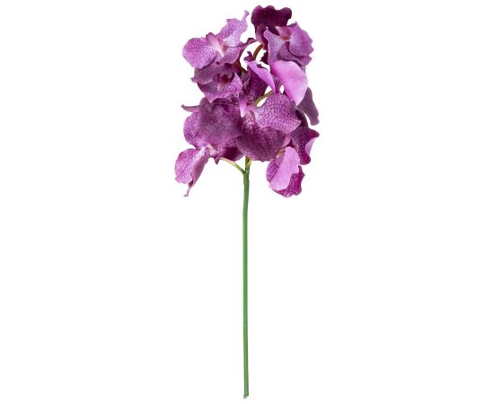 Orchid FLOWERLY H60cm, mix