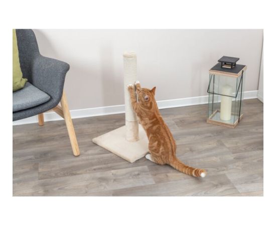 Nagu asināmais - Trixie Batres scratching post, 62 cm, beige