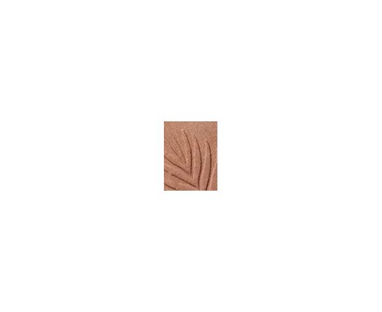 Wet N Wild Color Icon 11g W / Bronzer