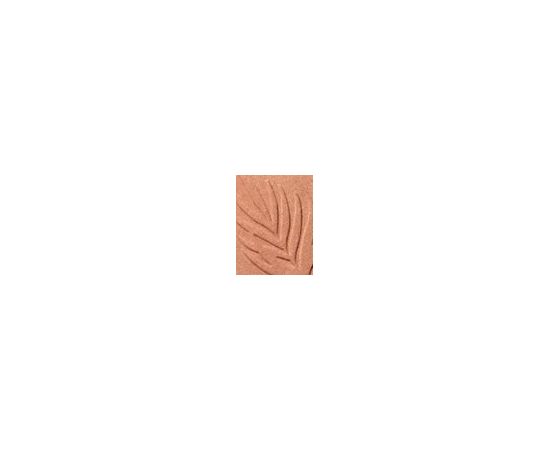 Wet N Wild Color Icon 11g W / Bronzer