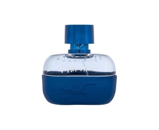 Hollister Festival / Nite 100ml M / Eau de Toilette