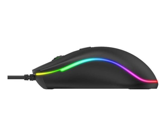 Havit MS979WB wireless mouse