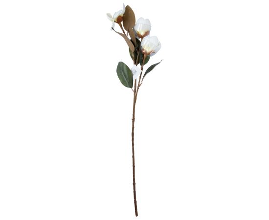 Artificial flower FLOWERLY H89cm magnolia