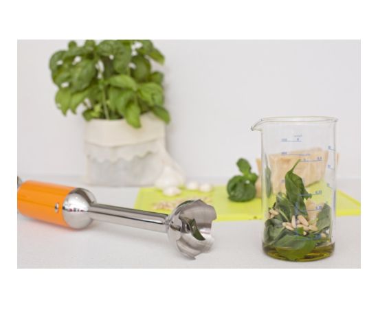 ViceVersa Tix Hand Blender orange 71022 Blenderis