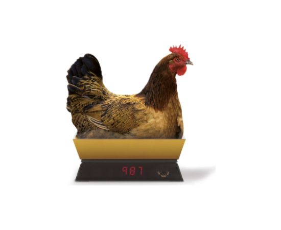 ViceVersa Kitchen Scale 5kg gold 12982 Virtuves svari