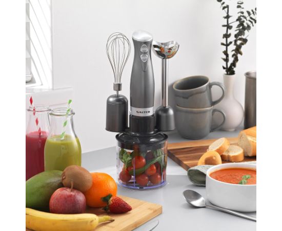 Salter EK2827COSVDEEU10 Cosmos 3-in-1 Hand Blender Blenderis