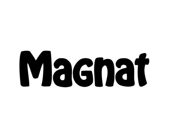 Magnat Monitor S12 C black