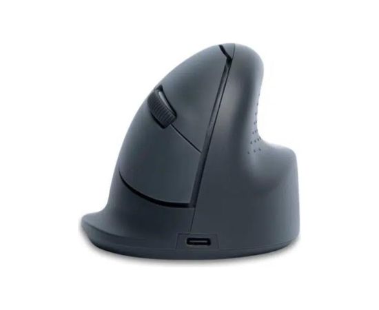 MOUSE USB OPTICAL WRL BASIC/R. GREY RGOHEBAMRWL R-GO TOOLS