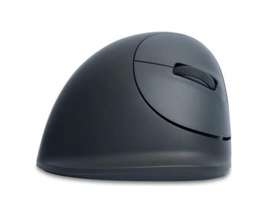 MOUSE USB OPTICAL WRL BASIC/R. GREY RGOHEBAMRWL R-GO TOOLS