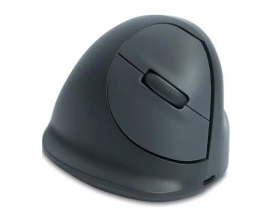 MOUSE USB OPTICAL WRL BASIC/R. GREY RGOHEBAMRWL R-GO TOOLS