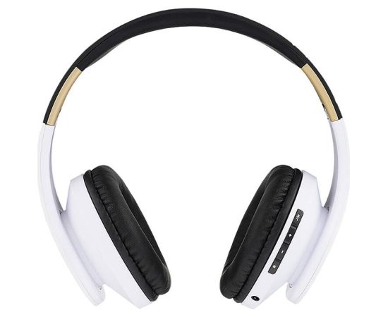 Wireless Headphones PowerLocus P2 (black-white)