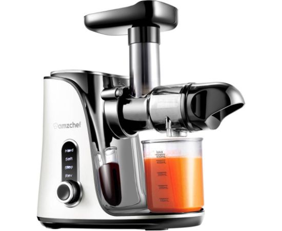 AMZCHEF GM3001-WT slow speed juicer (white)