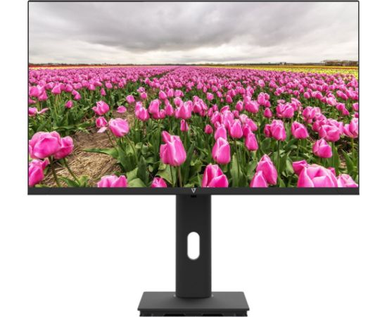 V7 23.8IN HT ADJUST MONITOR HDMI