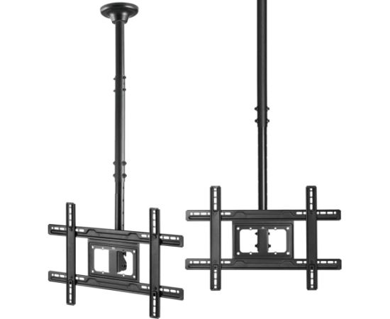 Maclean Universal LED LCD monitor with LCD OLED QLED screen for ceiling mounting 23-100 "max. 50 kg Max VESA 600x400