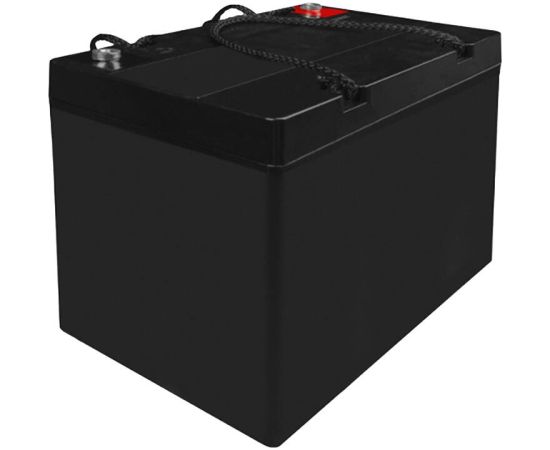 Maintenance-free AGM VRLA Green Cell AGM49 12V 55Ah Battery (for lawnmower, scooter, boat, wheelchair)