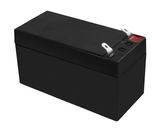 Maintenance-free AGM VRLA Green Cell AGM41 12V 1.3Ah Battery (for alarm system, cash register, toy)