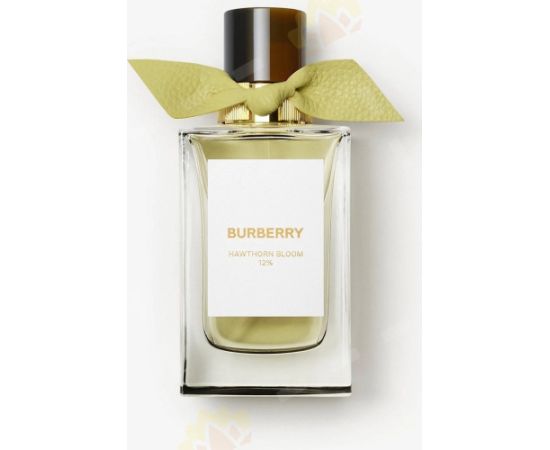 BURBERRY Hawthorn Bloom EDP spray 100ml