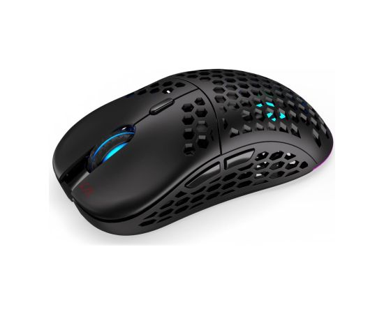 ENDORFY LIX mouse Ambidextrous RF Wireless + USB Type-C Optical 16000 DPI