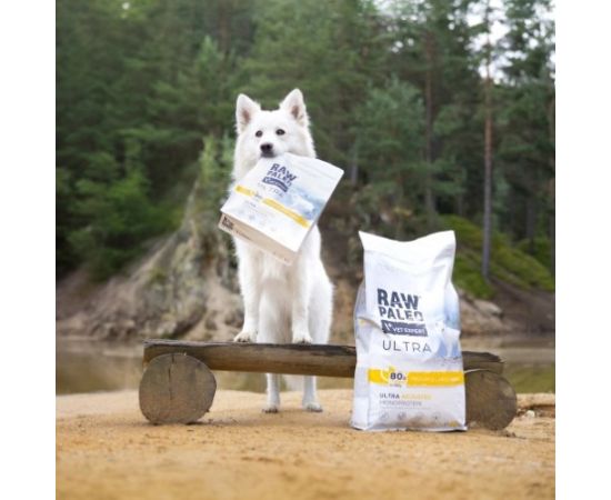 RAW PALEO Ultra Medium&Large Adult Turkey - dry dog ​​food - 2 kg