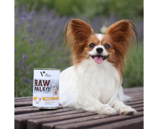 RAW PALEO Adult Monoprotein Turkey - wet dog food - 800 g