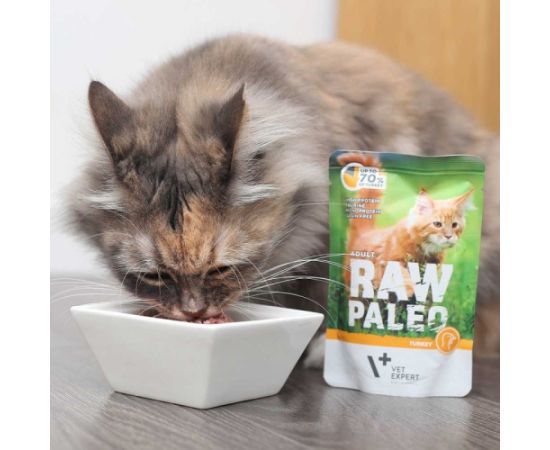 RAW PALEO Adult Cat Turkey - wet cat food - 100 g