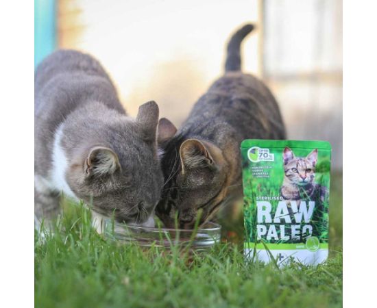 RAW PALEO Adult Cat Sterilised Game - wet cat food - 100 g