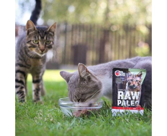 RAW PALEO Adult Cat Sterilised Beef - wet cat food - 100 g