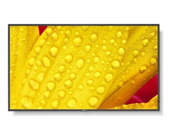 NEC MultiSync M501-2 - 127 cm (50") Diagonalklasse (125.7 cm (49.5") sichtbar) - M Series LCD-Display mit LED-Hintergrundbeleuchtung - Digital Signage - mit integrierter Media-Player / optionale Slot-in-PC-Funktionalitat - 4K UHD (2160p) 3840 x 2160