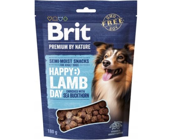 BRIT Premium Dog Snack Lamb with Seabuckthorn – dog treat – 180 g