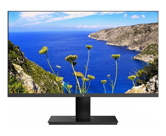 V7 23.8IN IPS MONITOR DISPLAYPORT