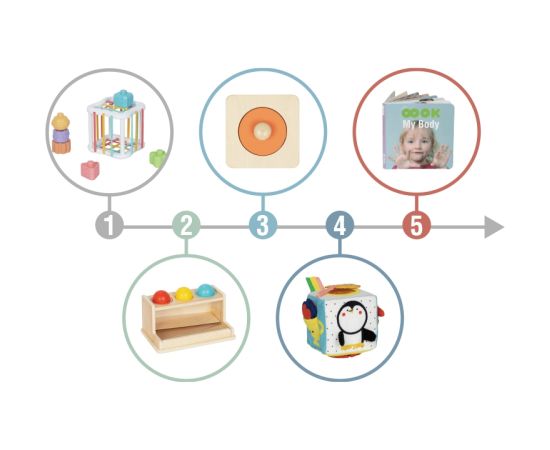 Montessori mācību spēļu kaste XXL 7in1, sensorā 16-18 mēn., krāsaina