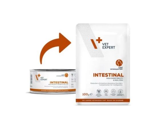 VET EXPERT Veterinary Diet Intestinal Cat - wet food for cats - 100g