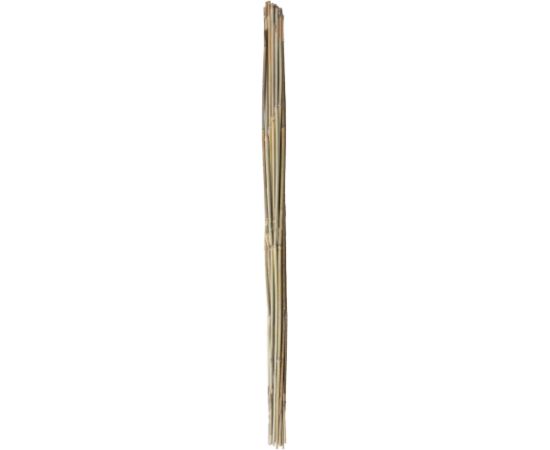 Bamboo canes IN GARDEN H120cm 20pcs/set D8/10mm