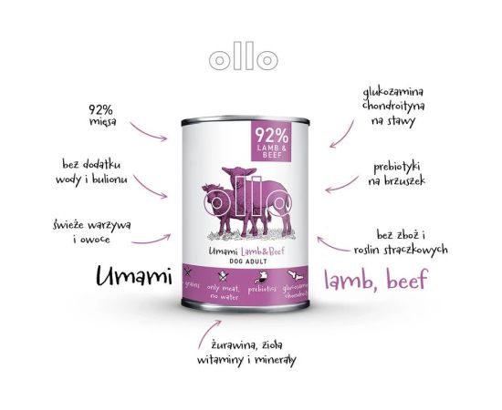 Dolina Noteci OLLO Umami Lamb and Beef – wet dog food – 400 g