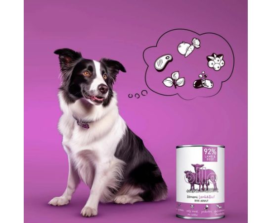 Dolina Noteci OLLO Umami Lamb and Beef – wet dog food – 400 g