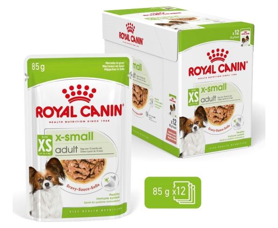 ROYAL CANIN Adult xs-small - wet dog food - 12 x 85g